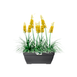 vibia campana terassentopf 80cm anthracite